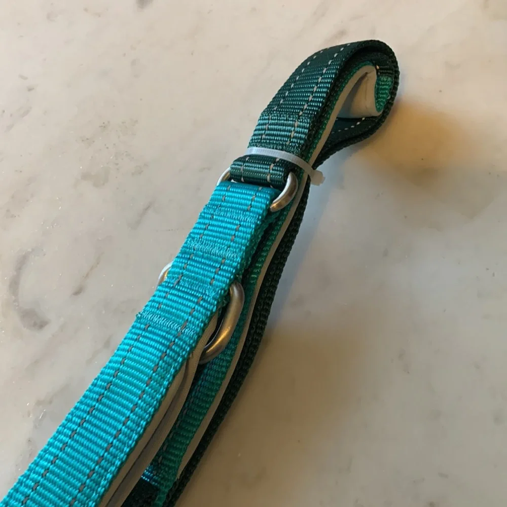 LEGO LIMITED EDITION Colorblock Dog Leash in Green